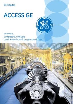 ACCESS GE GE Capital Innovare, competere, crescere con il know-how di un grande Gruppo