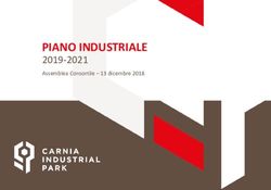 PIANO INDUSTRIALE 2019-2021 Assemblea Consortile - 13 dicembre 2018 - Carnia Industrial Park