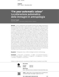 I'm your automatic colour' La colorazione automatica delle immagini in antropologia