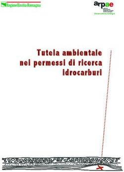 Tutela ambientale nei permessi di ricerca idrocarburi