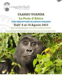 CLASSIC UGANDA La Perla d'Africa Dall' 8 al 18 Agosto 2023 - CON TRADUTTORE IN LINGUA ITALIANA