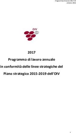 Programma di lavoro annuale in conformità delle linee strategiche del Piano strategico 2015-2019 dell'OIV 2017
