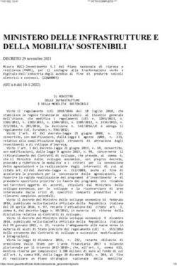 MINISTERO DELLE INFRASTRUTTURE E DELLA MOBILITA' SOSTENIBILI