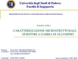 Università degli Studi di Padova Facoltà di Ingegneria