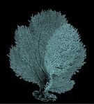 CONTRACT FURNITURE BATHROOM RESTROOM & MORE - ACTALINE