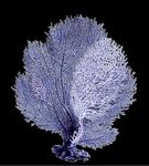 CONTRACT FURNITURE BATHROOM RESTROOM & MORE - ACTALINE