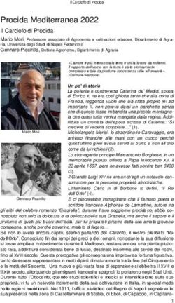 Procida Mediterranea 2022 - Il Carciofo di Procida - il mediterraneo