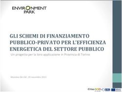 GLI SCHEMI DI FINANZIAMENTO PUBBLICO-PRIVATO PER L'EFFICIENZA ENERGETICA DEL SETTORE PUBBLICO - Un progetto per la loro applicazione in Provincia ...