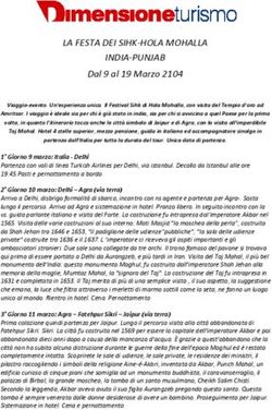 LA FESTA DEI SIHK-HOLA MOHALLA INDIA-PUNJAB - Dal 9 al 19 Marzo 2104