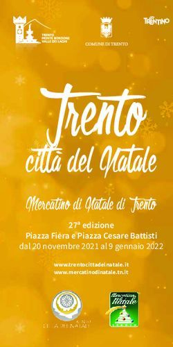 Mercatino di Natale di Trento - 27&ordf; edizione Piazza Fiera e Piazza Cesare Battisti
