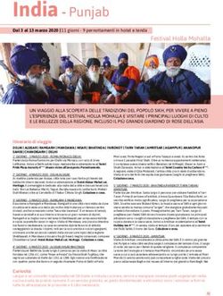 India - Punjab - Apatam viaggi