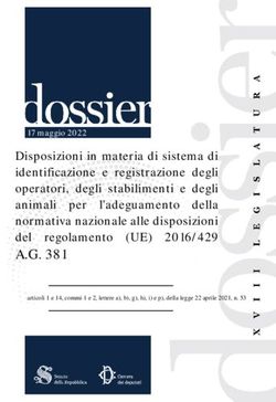 A.G. 381 - Camera dei Deputati