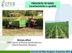 TRINCIATO DI MAIS: Caratteristiche e qualità - Michela Alfieri CREA, Centro di Ricerca Cerealicoltura