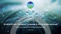 Gli obiettivi per l'idrogeno: l'esigenza di una strategia nazionale - Dina Lanzi, Head Technology Development - Associazione Italiana Economisti ...