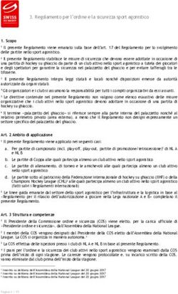 Regolamento per l'ordine e la sicurezza sport agonistico