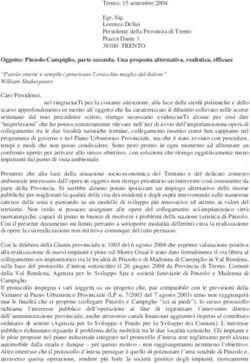 Oggetto: Pinzolo-Campiglio, parte seconda. Una proposta alternativa, realistica, efficace