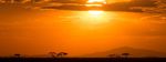 "ESPLORANDO IL KENYA" - Taita Hills - Amboseli - Nairobi - Masai Mara - Lago Naivasha - Samburu - Ol Pejeta 12 giorni /11 notti - Nurali Safaris Kenya