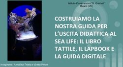 COSTRUIAMO LA NOSTRA GUIDA PER L'USCITA DIDATTICA AL SEA LIFE: IL LIBRO TATTILE, IL LAPBOOK E LA GUIDA DIGITALE - Insegnanti: Annalisa Trotta e ...