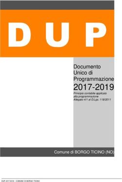 D U P 2017-2019 Documento Unico di Programmazione - Comune di Borgo ...