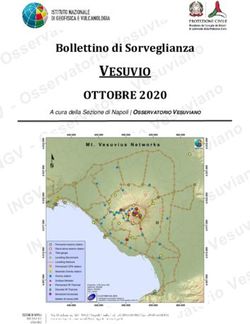 VESUVIO OTTOBRE 2020 Bollettino di Sorveglianza - INGV