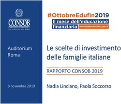 Le scelte di investimento delle famiglie italiane - RAPPORTO CONSOB 2019 Auditorium Roma