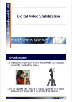 Digital Video Stabilization