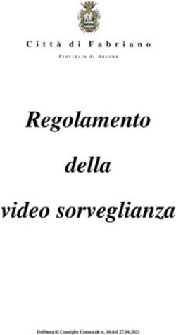 Regolamento della video sorveglianza Comune di ...