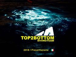 2018 / Presentazione - top2bottom.tech