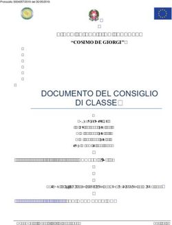DOCUMENTO DEL CONSIGLIO DI CLASSE - LICEO SCIENTIFICO STATALE - Liceo Scientifico Cosimo De Giorgi