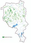 Il Larice Larix decidua - Riserva Forestale dell'Onsernone