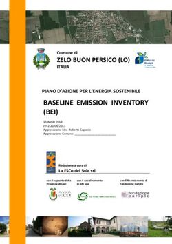 BASELINE EMISSION INVENTORY (BEI) - PIANO D'AZIONE PER L'ENERGIA SOSTENIBILE - Gazzetta Amministrativa