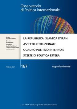 167 LA REPUBBLICA ISLAMICA D'IRAN: ASSETTO ISTITUZIONALE, QUADRO POLITICO INTERNO E SCELTE DI POLITICA ESTERA