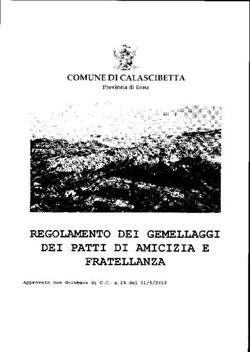 REGOLAMENTO DEI GEMELLAGGI DEI PATTI DI AMICIZIA E FRATELLANZA - COMUNE DI CALASCIBETTA