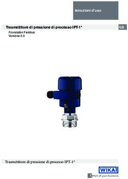 Istruzioni d'uso Trasmettitore di pressione di processo IPT-1* - Foundation Fieldbus Versione 2.0