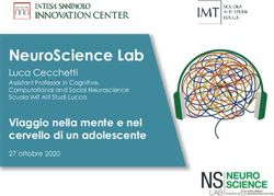 NeuroScience Lab Luca Cecchetti Assistant Professor in Cognitive, Computational and Social Neuroscience Scuola IMT Alti Studi Lucca