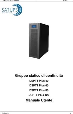 Gruppo statico di continuità Manuale Utente - DSPTT Plus 40 DSPTT Plus 60 DSPTT Plus 80 DSPTT Plus 120 - SATUPS