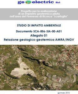 STUDIO DI IMPATTO AMBIENTALE - Relazione geologico-geotermica AMRA/INGV Documento SCA-006-SIA-00-A01