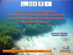 Giornata Studio - 24 giugno 2019 - Cittadella Regionale - Catanzaro - Arpacal