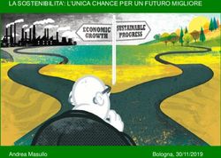 LA SOSTENIBILITA': L'UNICA CHANCE PER UN FUTURO MIGLIORE - Andrea Masullo Bologna, 30/11/2019 - Italia in Comune