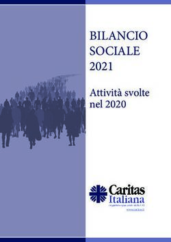 BILANCIO SOCIALE 2021 - Attivit&agrave; svolte nel 2020 - www.caritas.it - Caritas Italiana
