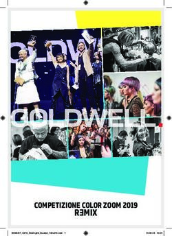 COMPETIZIONE COLOR ZOOM 2019 - REMIX - GOLDWELL