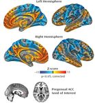 Neurobiologia dell'ADHD: modelli interpretativi e strategie operative Adriana Di Martino