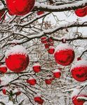 DICEMBRE 2018 - Comune di Piossasco