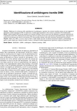 Identificazione di antiidrogeno tramite DNN - Gusso Gabriele