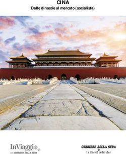 CINA Dalle dinastie al mercato (socialista) - AWS