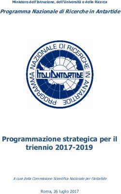 Programmazione strategica per il triennio 2017-2019 - Programma Nazionale di Ricerche in Antartide - Csna