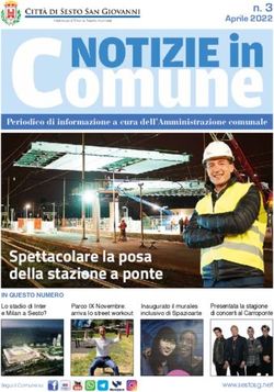 Spettacolare la posa della stazione a ponte - Comune di ...