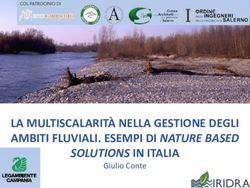 LA MULTISCALARITÀ NELLA GESTIONE DEGLI AMBITI FLUVIALI. ESEMPI DI NATURE BASED - SOLUTIONS IN ITALIA