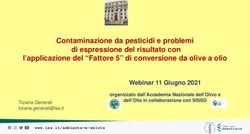 Contaminazione da pesticidi e problemi di espressione del risultato con l'applicazione del "Fattore 5" di conversione da olive a olio - SISSG
