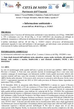 CITTÀ DI NOTO Patrimonio dell'Umanità - Comune di Noto